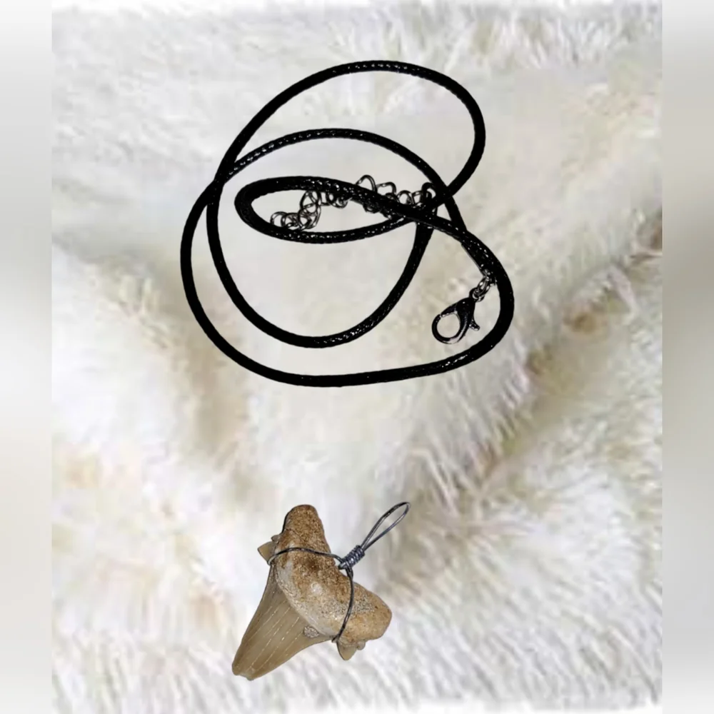 Fossilized Shark Tooth Pendant and Black Cord Leather Necklace